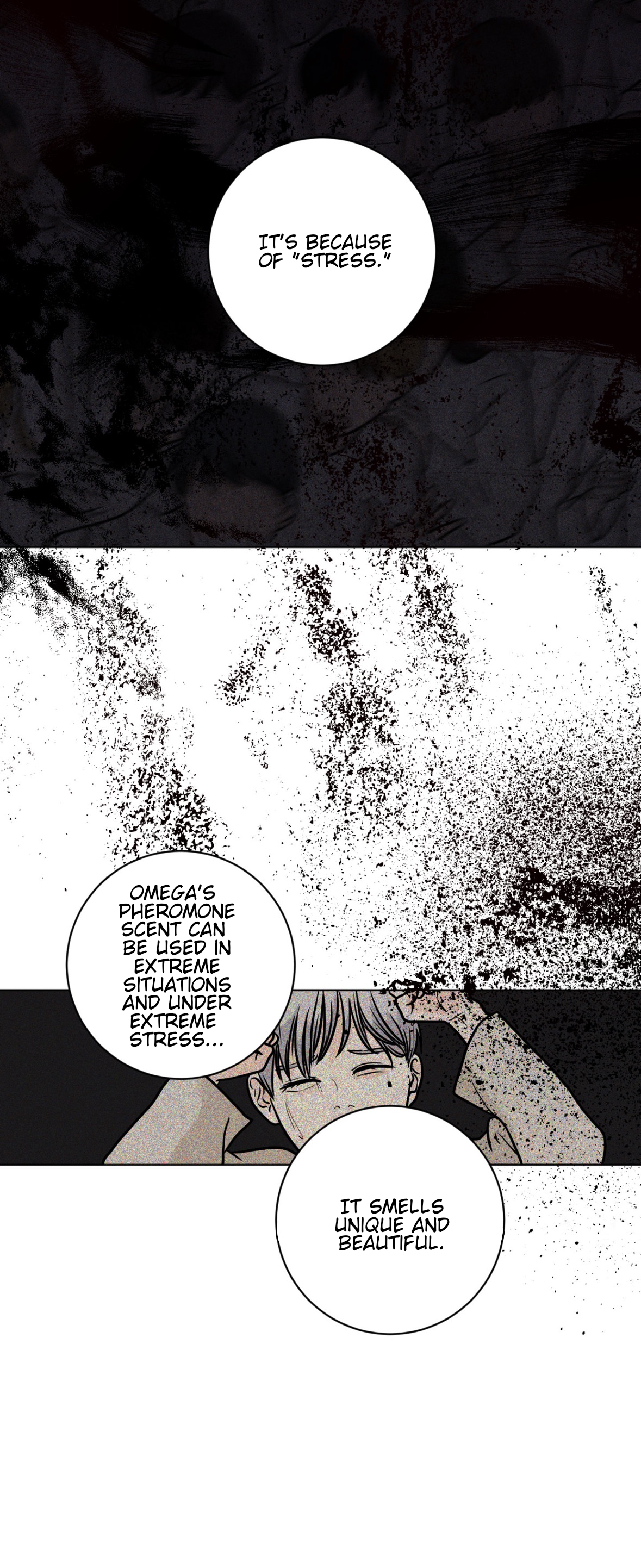 62127123 1179 2884 3523522