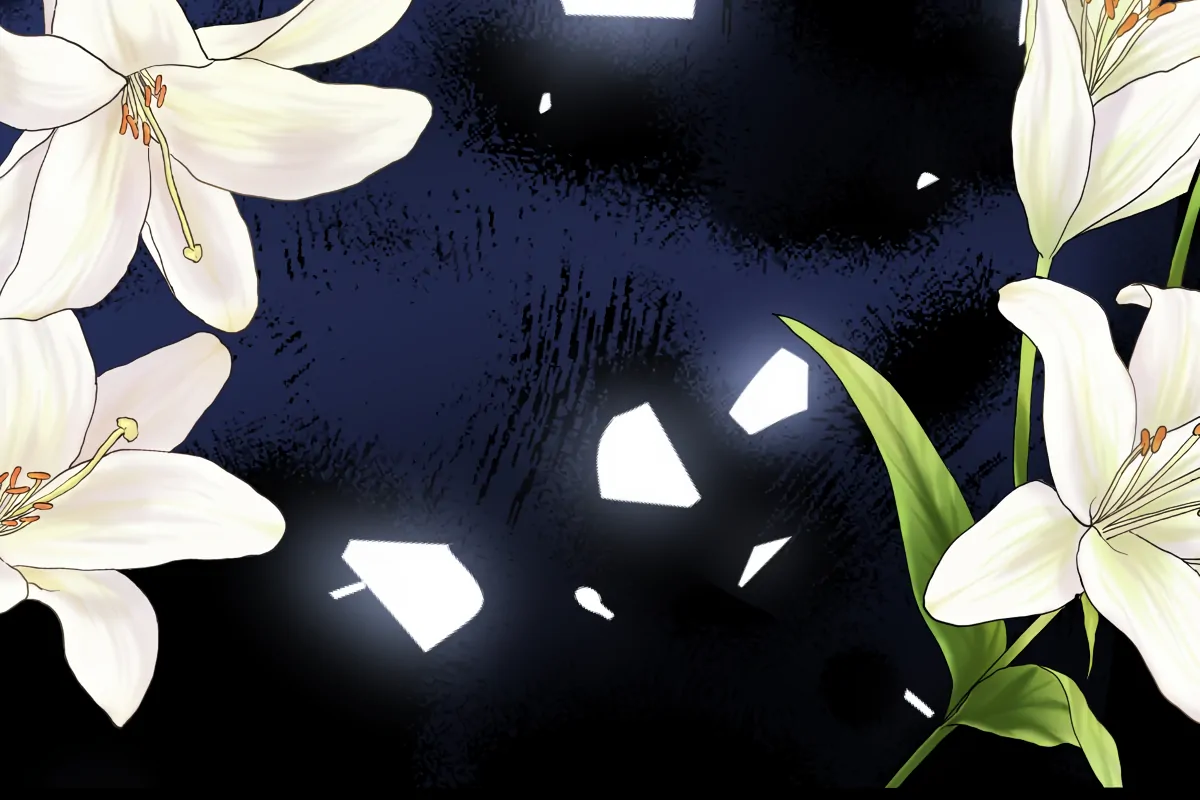 88967793 1200 800 61464